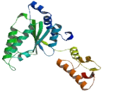 ATPase Family Gene 3 Like Protein 2 (AFG3L2)