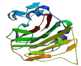 SplA/Ryanodine Receptor Domain And SOCS Box Containing Protein 2 (SPSB2)