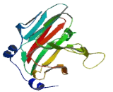 SplA/Ryanodine Receptor Domain And SOCS Box Containing Protein 4 (SPSB4)