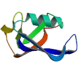 Splicing Factor 3A Subunit 1 (SF3A1)