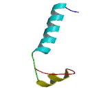 Splicing Factor 3B Subunit 1 (SF3B1)