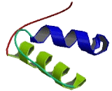 Splicing Factor 3B Subunit 2 (SF3B2)