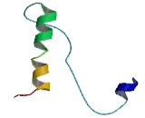 Splicing Factor 3B Subunit 5 (SF3B5)