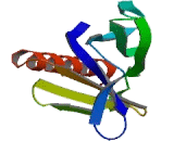 Sprouty Related, EVH1 Domain Containing Protein 1 (SPRED1)