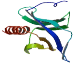 Sprouty Related, EVH1 Domain Containing Protein 2 (SPRED2)