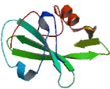 Src Homology 2 Domain Containing Transforming Protein D (SHD)