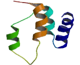 StAR Related Lipid Transfer Domain Containing Protein 13 (STARD13)