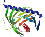 StAR Related Lipid Transfer Domain Containing Protein 3 (STARD3)