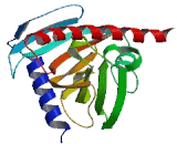 StAR Related Lipid Transfer Domain Containing Protein 5 (STARD5)