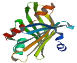 StAR Related Lipid Transfer Domain Containing Protein 9 (STARD9)