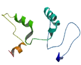 Stearoyl Coenzyme A Desaturase 5 (SCD5)