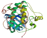 Sterile Alpha Motif And Leucine Zipper Containing Kinase AZK (ZAK)