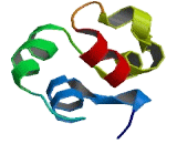 Sterile Alpha Motif Domain Containing Protein 1 (SaMD1)