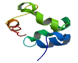 Sterile Alpha Motif Domain Containing Protein 13 (SaMD13)