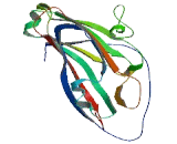 Sterile Alpha Motif Domain Containing Protein 14 (SaMD14)