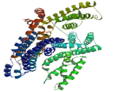 Sterile Alpha Motif Domain Containing Protein 15 (SaMD15)