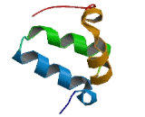 Sterile Alpha Motif Domain Containing Protein 2 (SaMD2)