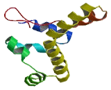 Sterile Alpha Motif Domain Containing Protein 4 (SaMD4)