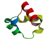 Sterile Alpha Motif Domain Containing Protein 5 (SaMD5)