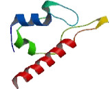 Sterile Alpha Motif Domain Containing Protein 8 (SaMD8)