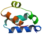 Sterile Alpha Motif Domain Containing Protein 9 (SaMD9)