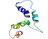 Steroid 5 Alpha Reductase 3 (SRD5a3)