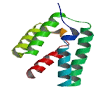 Steroid Receptor RNA Activator 1 (SRA1)