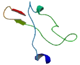 Methylsterol Monooxygenase 1 (MSMO1)