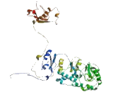 Sterol-O-Acyltransferase 2 (SOAT2)