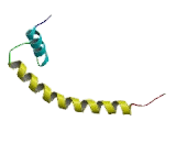 Sterol Regulatory Element Binding Transcription Factor 2 (SREBF2)