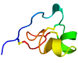 Stichodactyla Toxin (ShK)