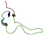 Stimulator Of Chondrogenesis 1 (SCRG1)