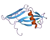 Streptokinase (SK)