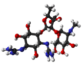 Streptomycin (ST)