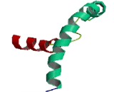 Stress Associated Endoplasmic Reticulum Protein 1 (SERP1)