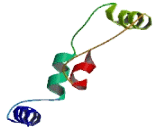 Stress Associated Endoplasmic Reticulum Protein 2 (SERP2)