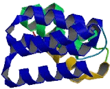 Stress Induced Phosphoprotein 1 (STIP1)