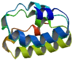 Stromal Antigen 3 Like Protein 2 (STAG3L2)