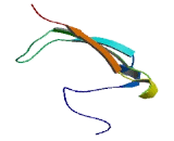 Stromal Antigen 3 Like Protein 4 (STAG3L4)