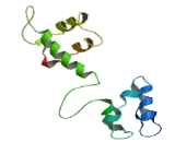 Stromal Cell Derived Factor 4 (SDF4)