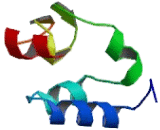 Stromal Interaction Molecule 2 (STIM2)