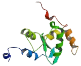 Stromal Membrane Associated Protein 1 (SMAP1)