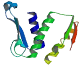 Structural Maintenance Of Chromosomes Protein 5 (SMC5)