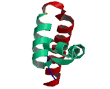 Structure Specific Recognition Protein 1 (SSRP1)