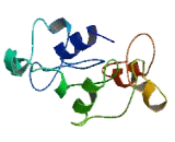 Submaxillary Gland Androgen Regulated Protein 3A (SMR3A)