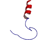 Succinate Dehydrogenase Complex Assembly Factor 1 (SDHAF1)