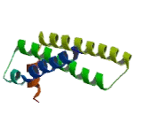 Succinate Dehydrogenase Complex Subunit D (SDHD)