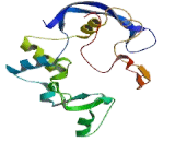 Sulfatase Modifying Factor 2 (SUMF2)