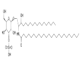 Sulfatide (SM4)