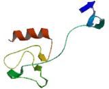 Sulfide Quinone Reductase Like Protein (SQRDL)